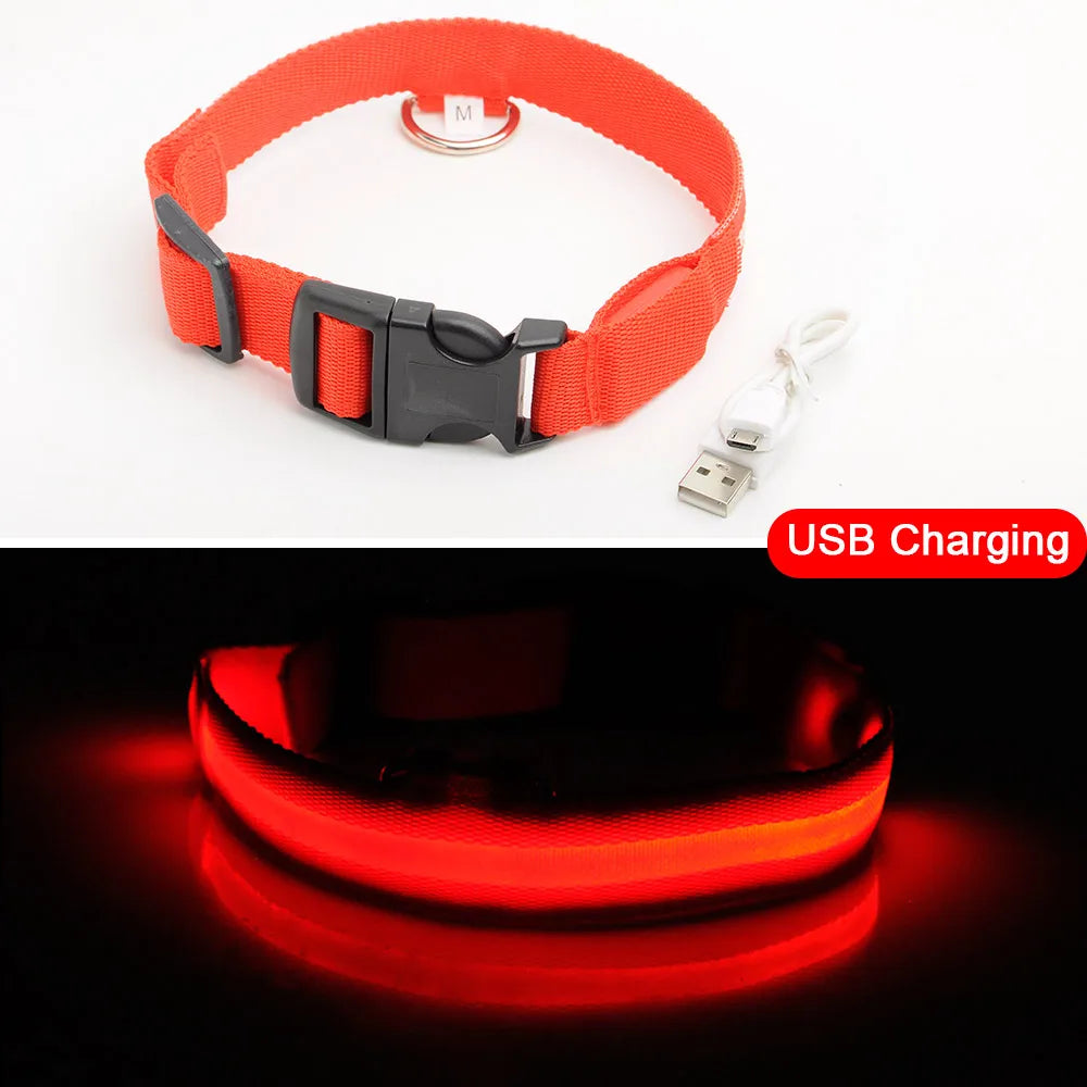 USB Charging Led Dog Collar Anti-Lost/Avoid Car Accident Collar For Dogs Puppies Dog Collars Leads LED Supplies Pet Products