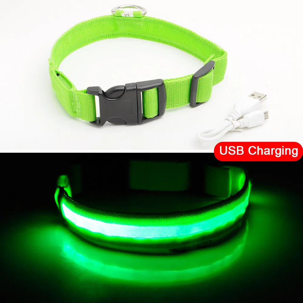 USB Charging Led Dog Collar Anti-Lost/Avoid Car Accident Collar For Dogs Puppies Dog Collars Leads LED Supplies Pet Products